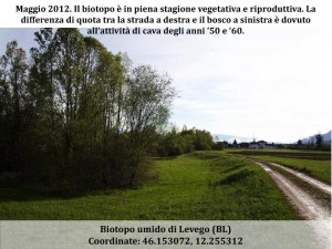 Cronistoria-biotopo-7