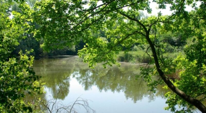 Lago Mucille Ph Legambiente