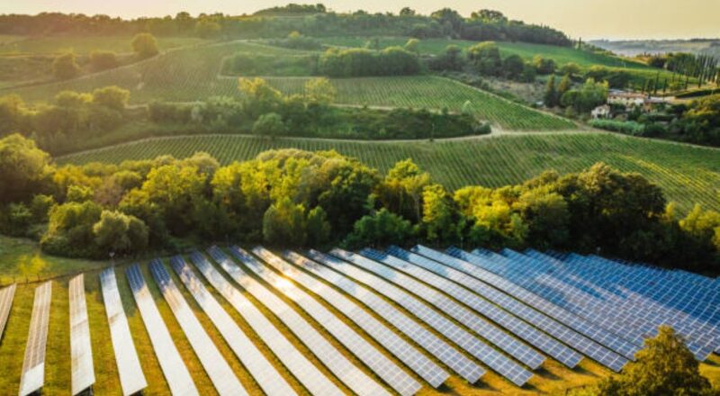 Ph Istock Filippo Bacci