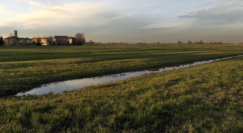 Una veduta del Parco Agricolo Sud Milano - ph.: Filippo Giraudo / Legambiente Lombardia