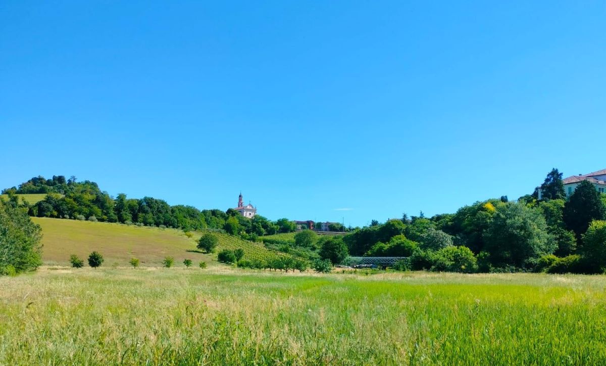 Italia Nostra e il sistema delle aree protette – www.salviamoilpaesaggio.it