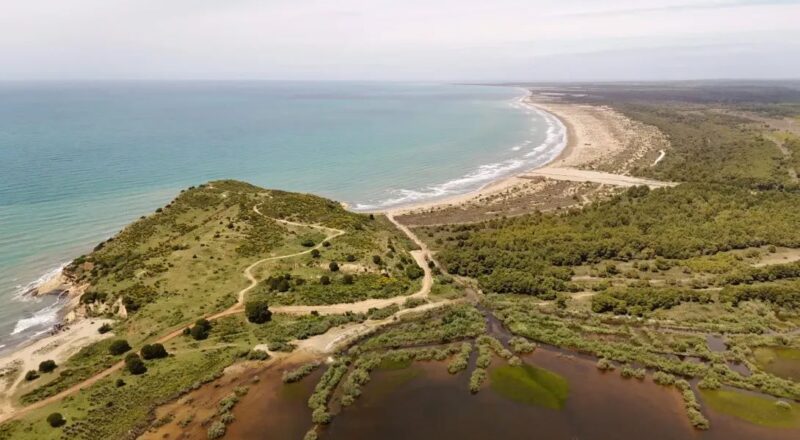 Vjöse Narthë © Ppnea (BirdLife Albania)