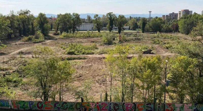 l'area del Bosco Ospizio dopo gli abbattimenti. © Assemblea Bosco Ospizio